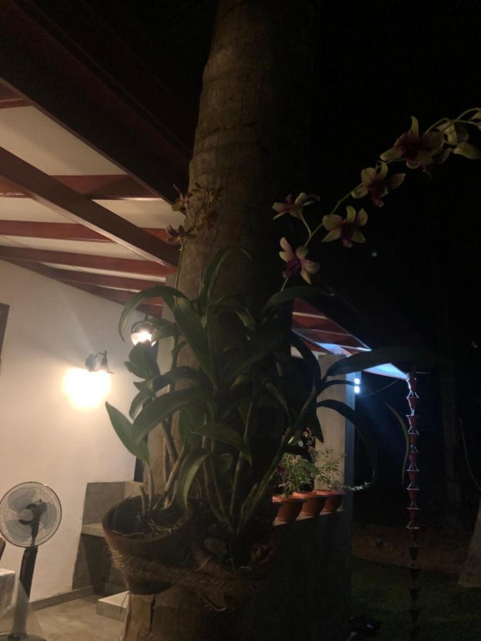 Lohas Villa Hiriketiya Dikwella Bagian luar foto