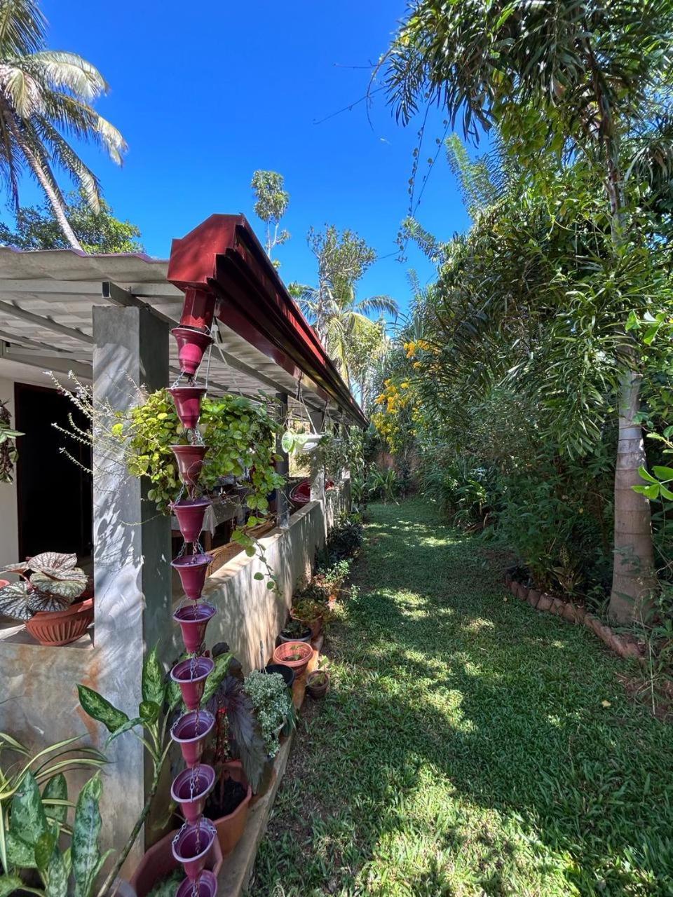 Lohas Villa Hiriketiya Dikwella Bagian luar foto